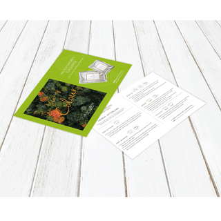 Brow Henna Information and Aftercare Cards - The London Brow Company