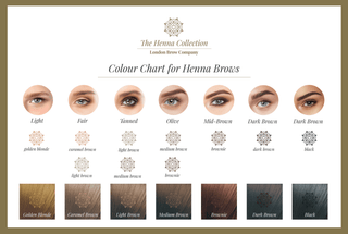 Henna Brow Design and Colour Course Editable Training Manual - The London Brow Company