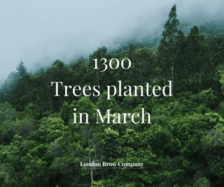 You helped us plant 1300 Trees in March! - The London Brow Company