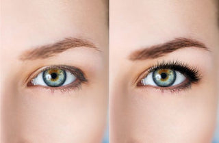 Eyelash and Eyebrow Tinting Online Course