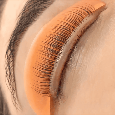Advanced Lash Shields for Perfect Lifting | Professional-Grade Silicone Shields - The London Brow Company